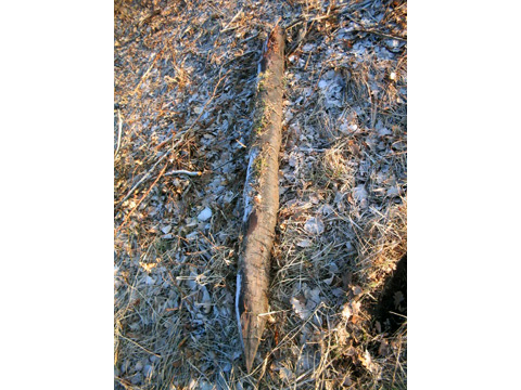 Foto 15